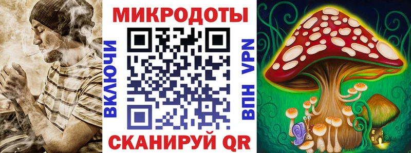 Псилоцибиновые грибы MAGIC MUSHROOMS  OMG вход  Суоярви  площадка Telegram  где купить наркоту 